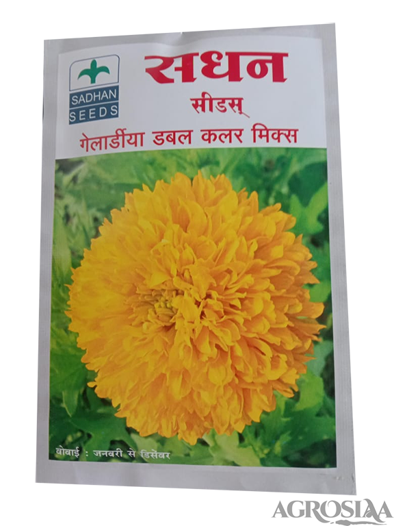 Galanda Flower Information In Marathi Best Flower Site