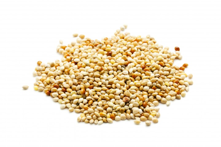heap of millet grain isolated on white