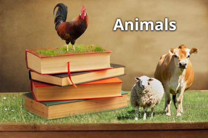 animal and books images