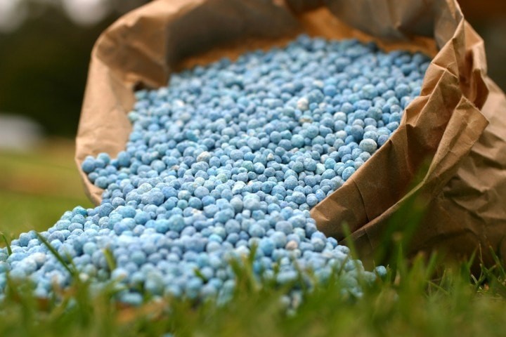 blue fertilizer in brown paper bag