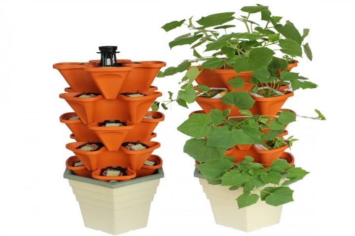 flower tower planters also suitable for growing herbs, fruits and spices.