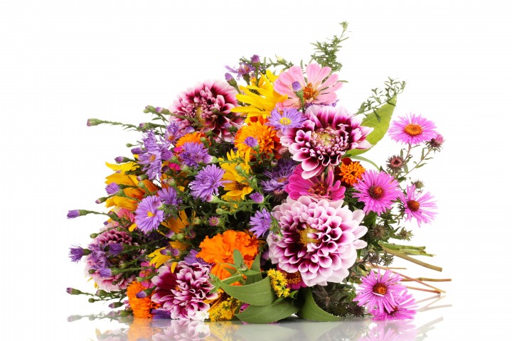 beautiful bouquet of bright wildflowers isolated on white