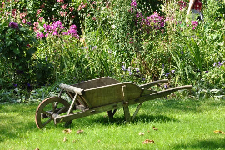 wheelbarrow isolated on white background