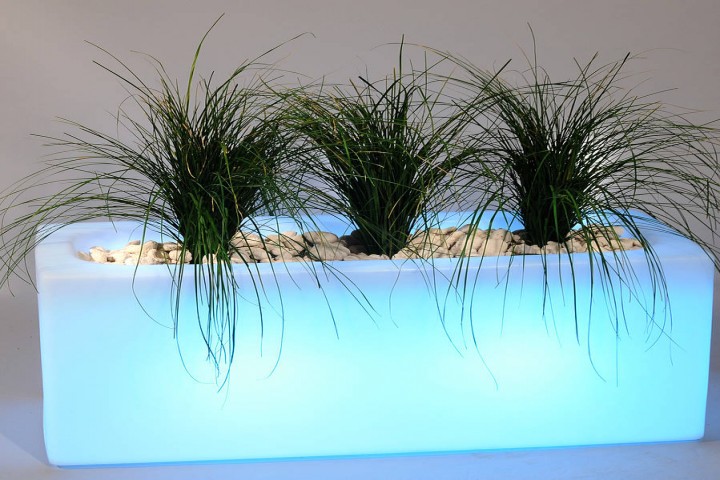  illuminated indoor planter with plants