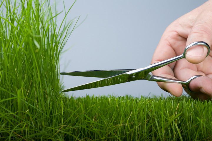 the hand mower cutting scissors a grass natural