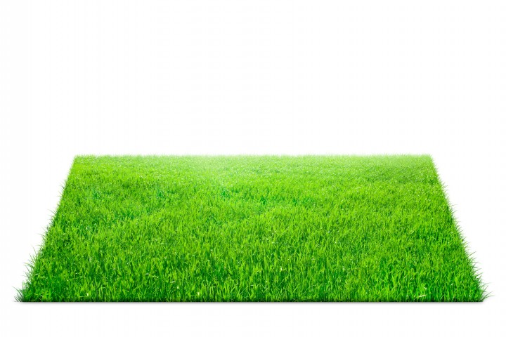 square of green grass field over white background