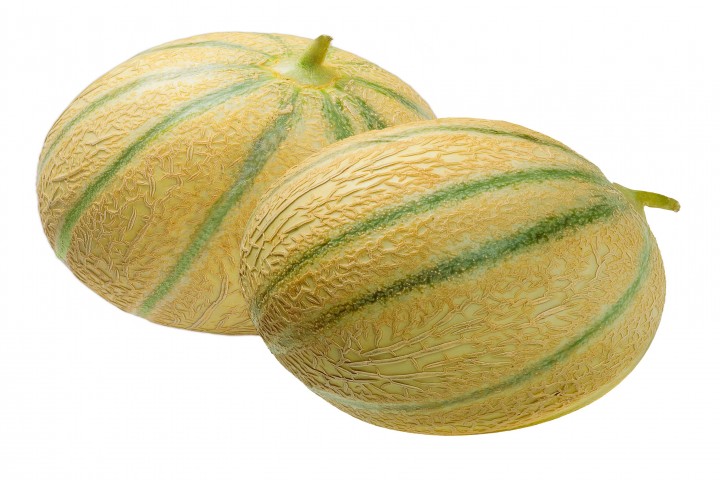 close up of two muskmelon cantaloupe isolated on a white background