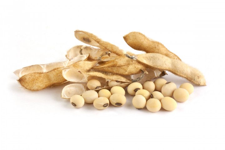 soy-pods-isolated-on-white-background