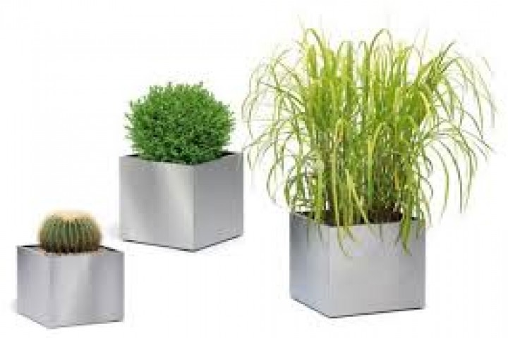 garden plants planted on stainless steel pots 