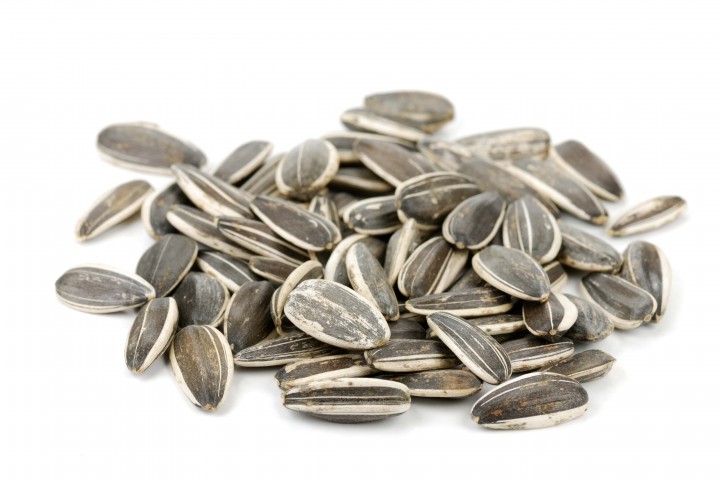 safflower seeds isolated