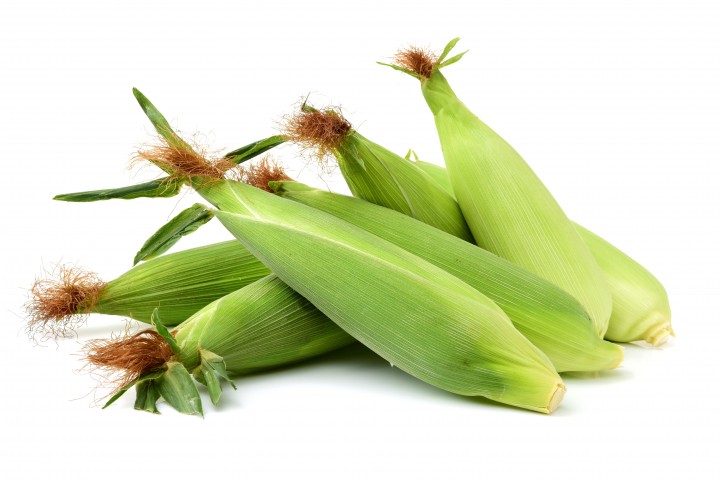 corn on white background