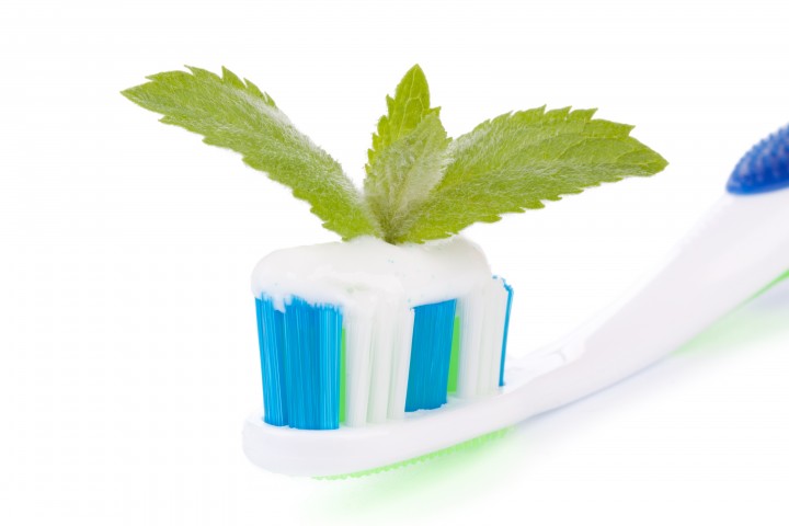 toothbrush with toothpaste and fresh leaves of mint on a white background