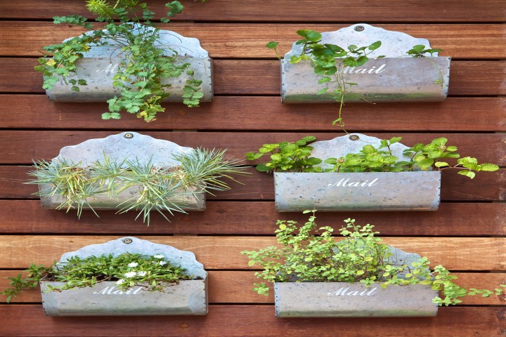 vertical gardening concept plants in a mail box