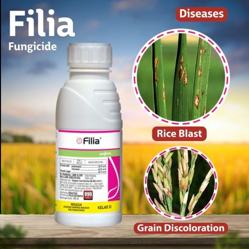 syngenta filia fungicide - 1 lit | propiconazole 10.7% w/w + tricyclazole se