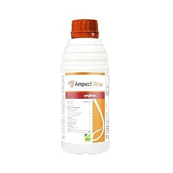 syngenta ampect xtra fungicide - 1 lit | azoxystrobin + cyproconazole