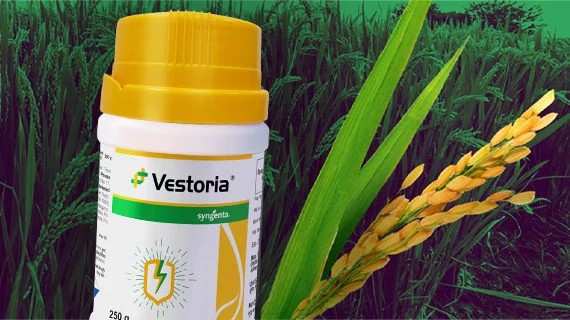 syngenta vestoria insecticide - 100 gm | triflumezopyrim 20% w/w wg.