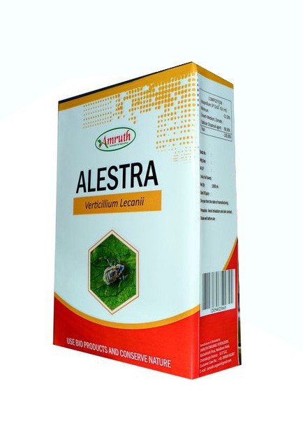 /uploads/userdata/seller/11ce83c39b94a005ddea8abd8152bb4abbe91354/product_images/43000955005c8f18f1ad2b3b02c12b49fc1e60df8be8706929.jpg