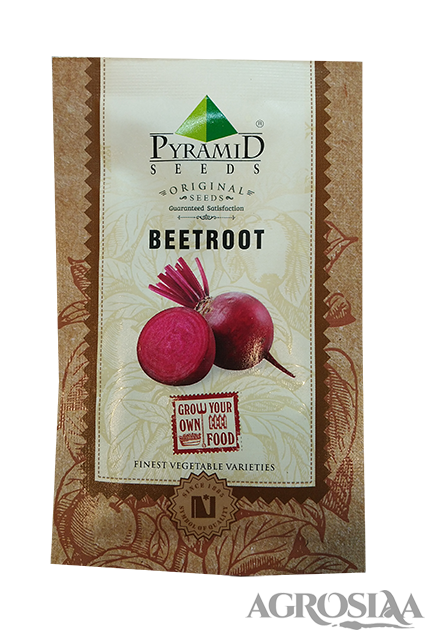 pyramid beetroot vegetable seed - 500 gm