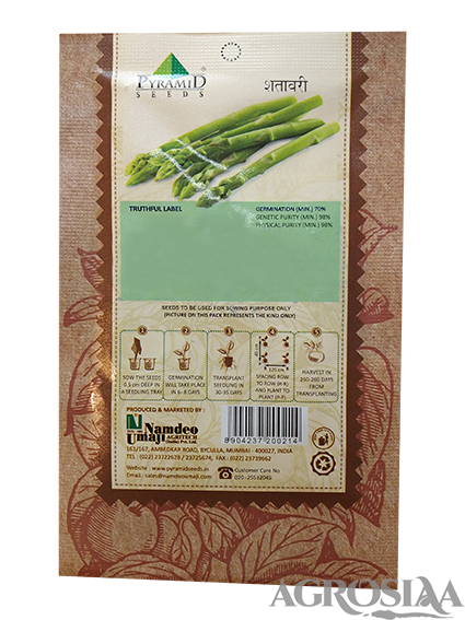 asparagus vegetable seed - 500 gm