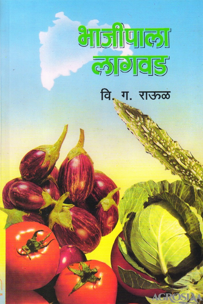 bhajipala lagvad