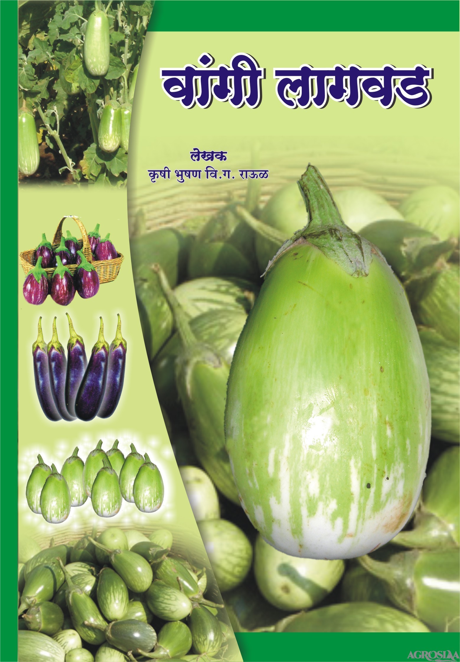 aneri vangi book in gujarati free download