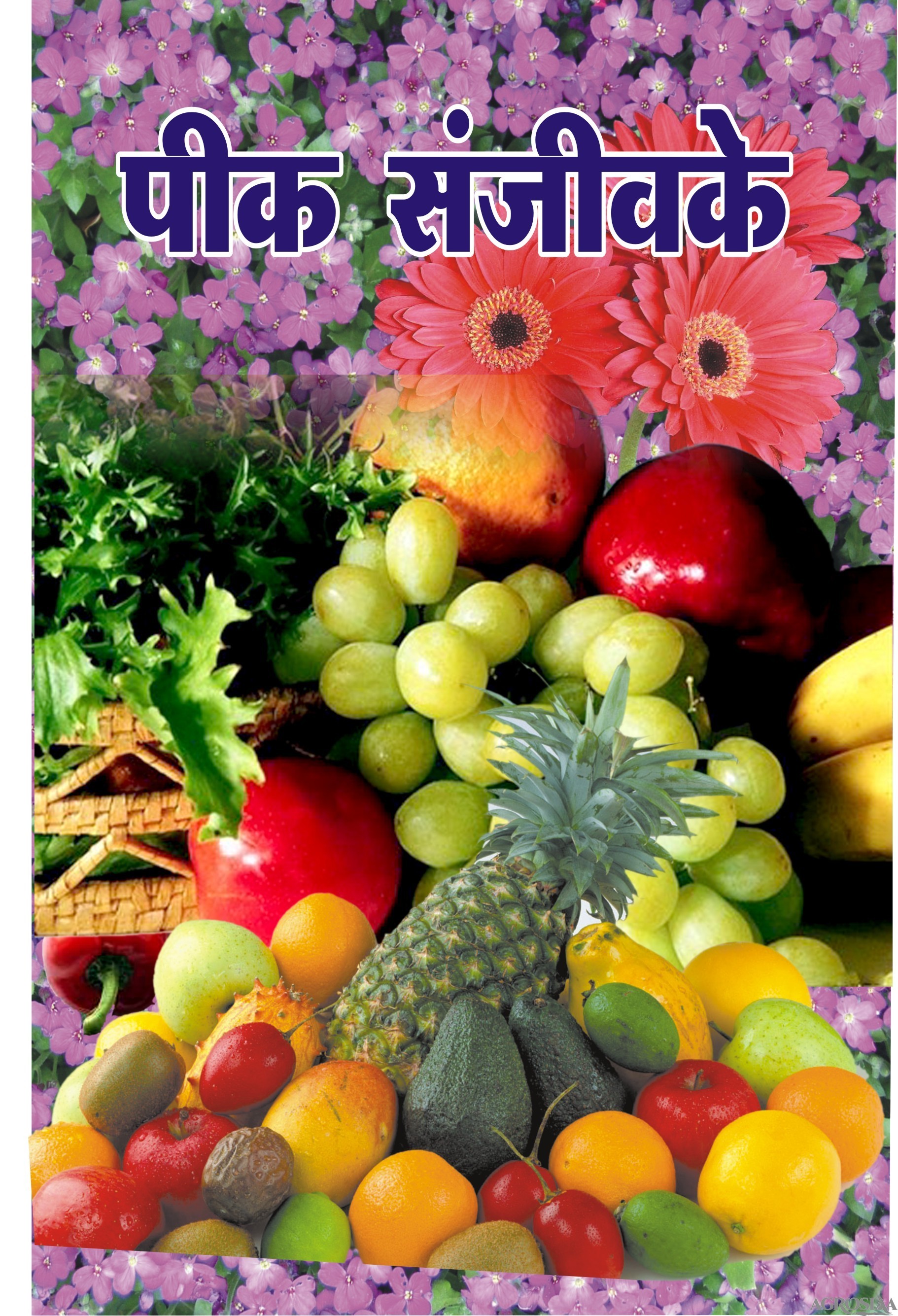 pik sanjivake