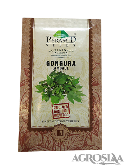 gongura (ambadi) seeds - 250 gm