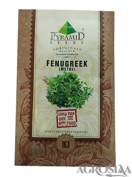pyramid fenugreek (methi) seeds - 10 gm