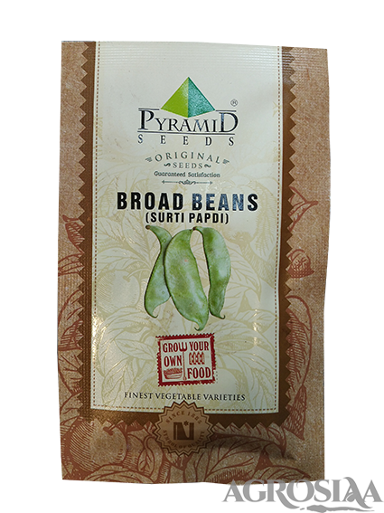 pyramid broad beans (surti papdi) vegetable seeds - 250 gm