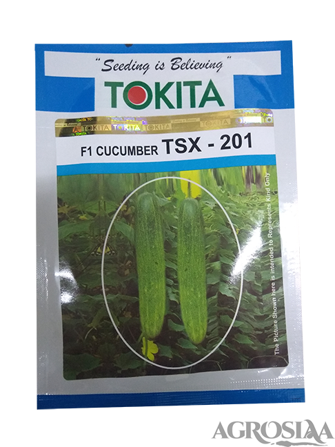 tokita tsx - 201 f1 cucumber seed - 10 gm