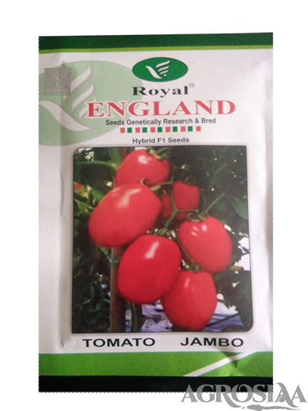 royal jambo f1 hybrid tomato seed - 10 gm
