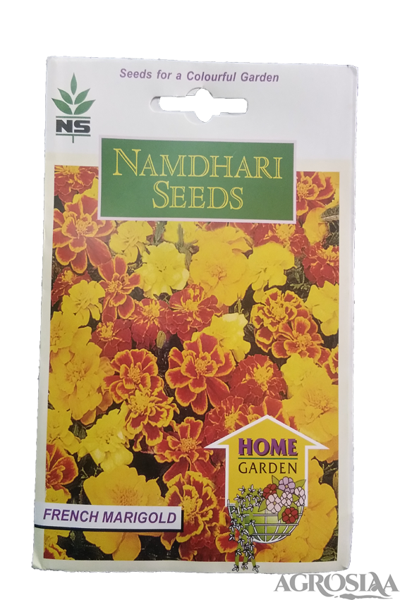 namdhari french binita mix marigold seed - 15 nos