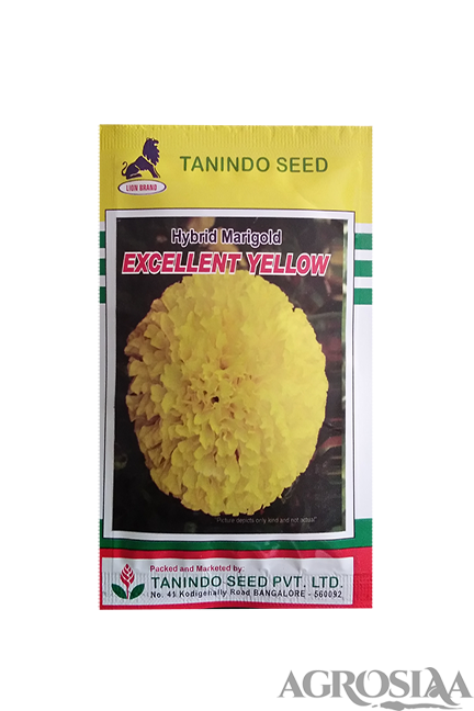 tanindo excellent yellow f1 hybrid marigold seed - 500 nos