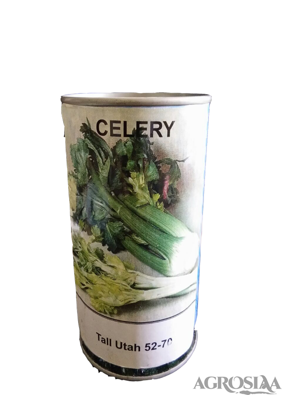 edena tall utah 52-70 celery seed - 100 gm