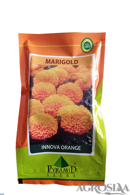 pyramid innova orange f1 hybrid marigold seed - 5 gm