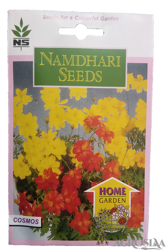 namdhari bright light cosmos seed - 2 gm