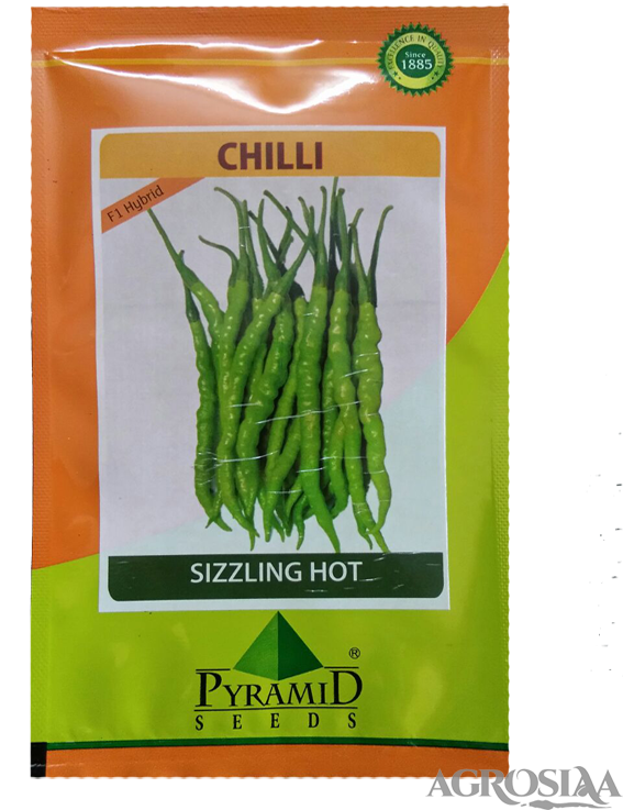 pyramid sizzling hot f1 hybrid chilli seed - 10 gm