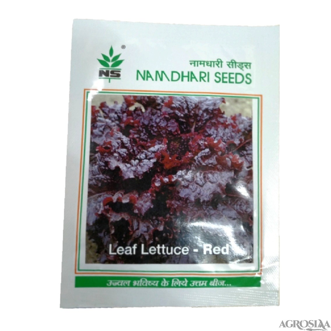 namdhari ns 1454 f1 hybrid red leaf lettuce seed - 10 gm