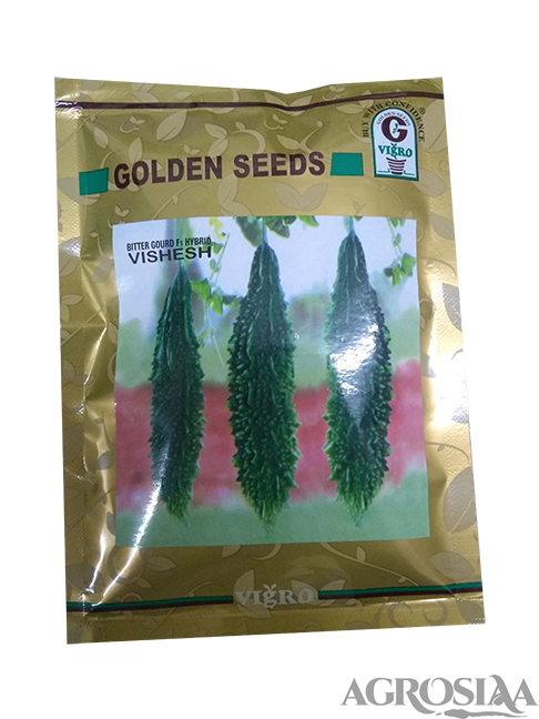 golden vishesh f1 hybrid bitter gourd seed - 50 gm