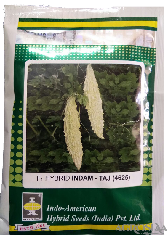 indo american f 1 hybrid indam taj 4625 bitter gourd seed - 50 gm