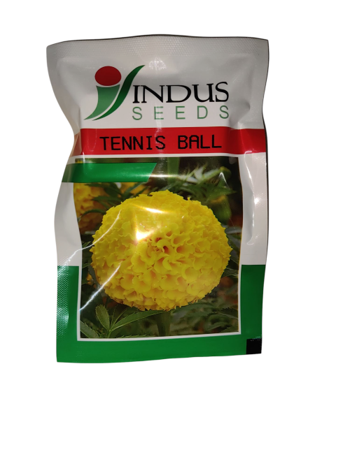 indus seeds tennis ball f1 hybrid yellow marigold seeds = 1000 seeds