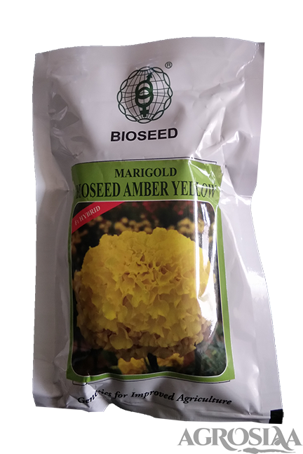 bioseed amber yellow f1 hybrid marigold seed - 1000 nos