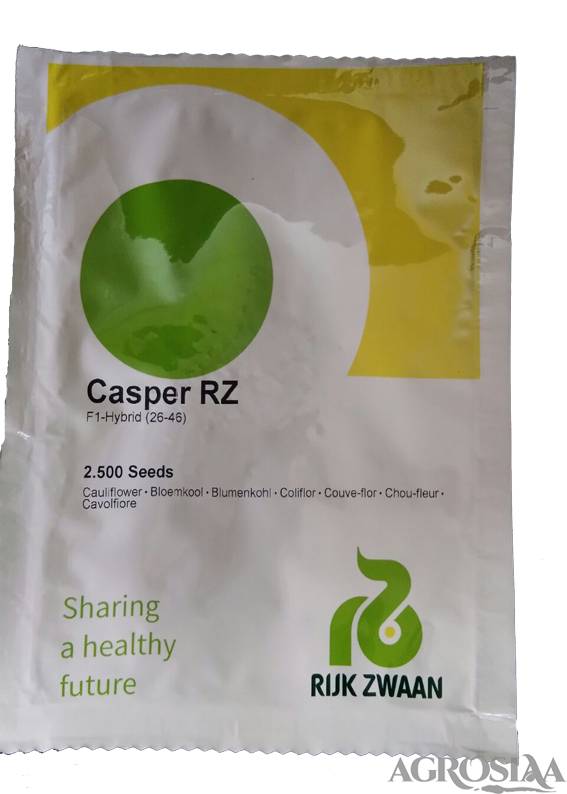 rz casper f1 hybrid cauliflower - 2500 seeds