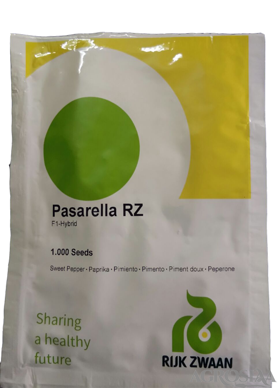rijk zwaan pasarella rz f1 hybrid capsicum - 1000 seeds