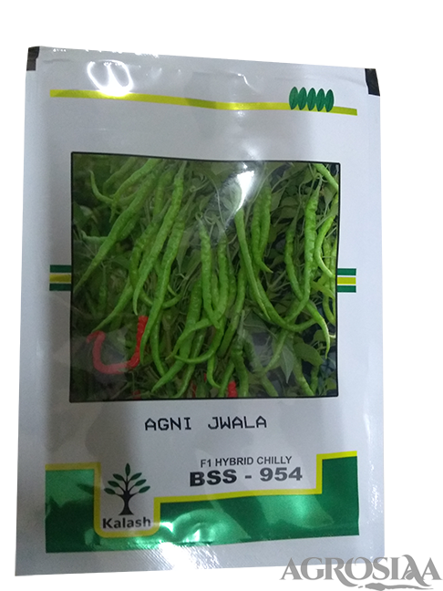 Kalash Agni Jwala Bss 954 F1 Hybrid Chilli Seed - 10 Gm