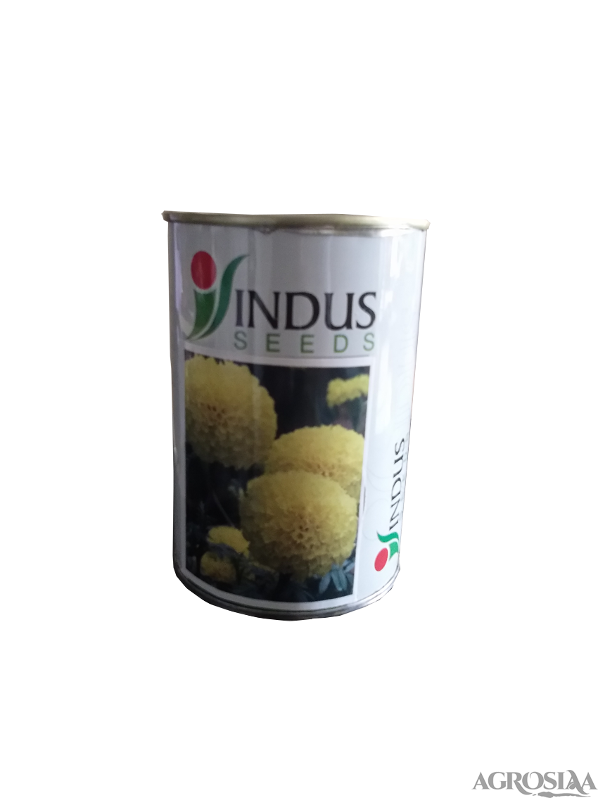 /uploads/userdata/seller/1e7b95c5614637fdcde70eb7f2d109134c95c6bf/product_images/962118417146eb8dcac331f9df6c60a145753d091860700c04.png