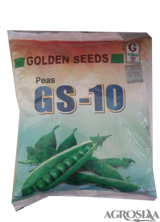 golden gs 10 green peas seed - 1 kg