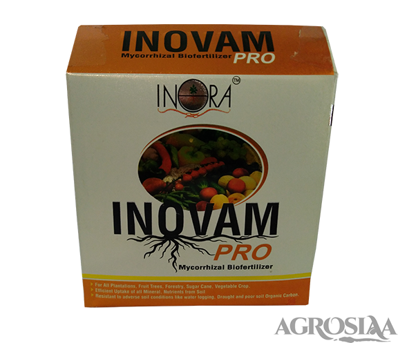 inora inovam bio fertilizer - 250 gm