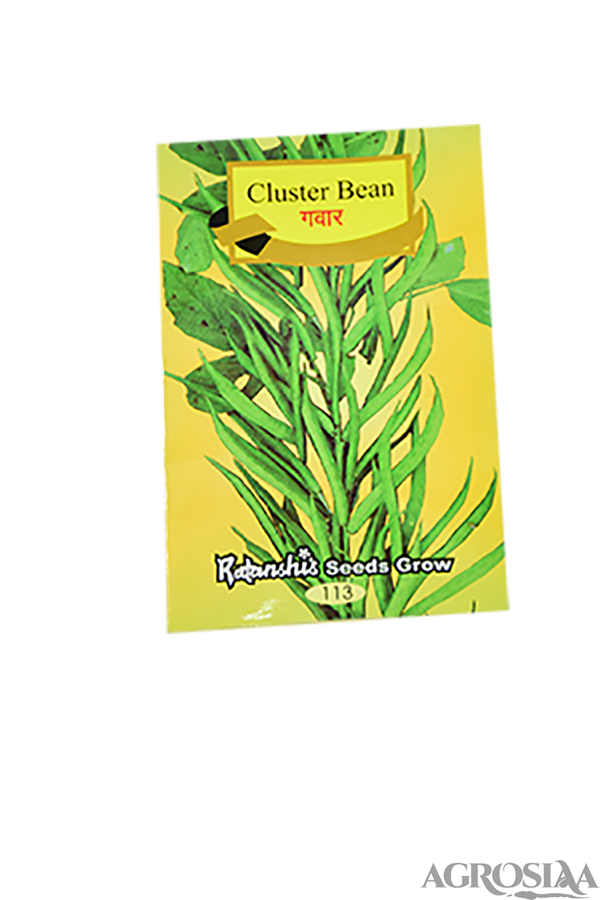 ratanshi agro cluster bean seed - 100 nos