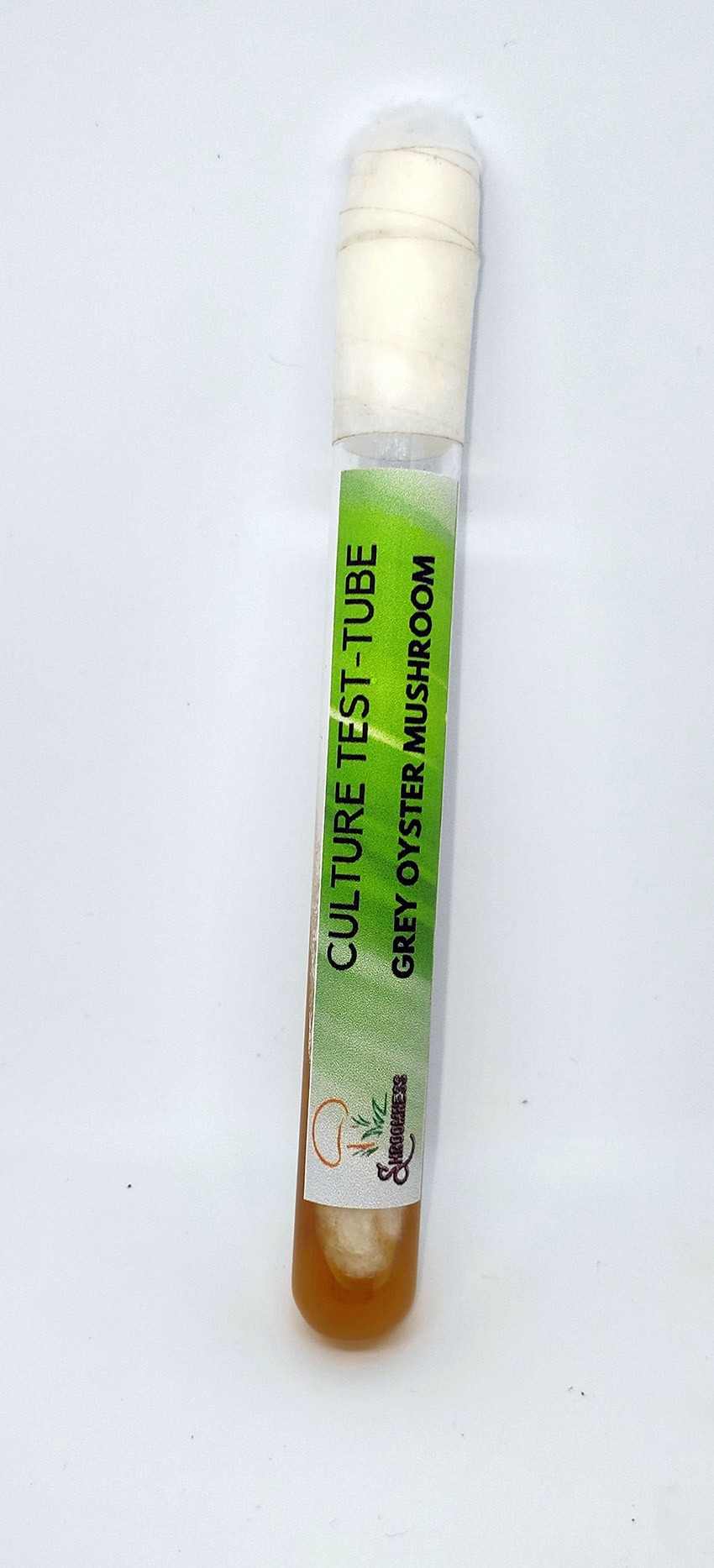 shroomness grey oyster mushroom culture in test-tube